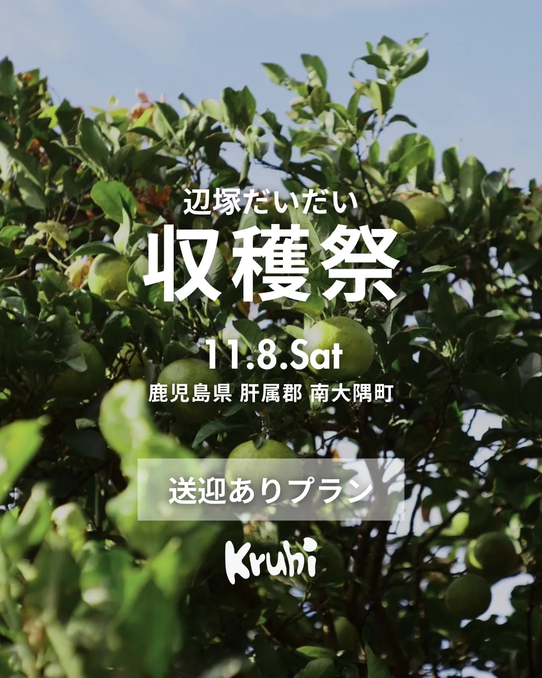 辺塚だいだい収穫祭 in 南大隅町